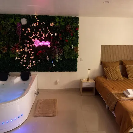 Entier Avec Jacuzzi Proche Futuroscope Appartement Naintre